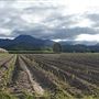 Mossman - Township