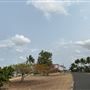 Cardwell - Coastline & Jetty