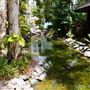 Pullman Palm Cove Sea Temple Resort & Spa