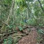 Hallorans Hill Conservation Park