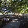 Cameron Park