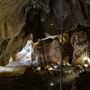 Capricorn Caves