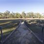 Willey Street BMX Park