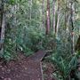 Lake Eacham, Crater lakes National Park