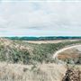 Kemp Beach and Bluff Point Scenic Walk