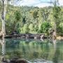 Upper Stoney Creek - Byfield National Park