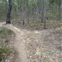 Toohey Forest - Toohey Ridge Track