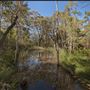 Karawatha Forest Park - Overview