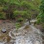 Mount Coot-tha Forest - Pinnacle Trail