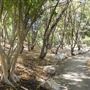 North Ipswich Wetlands Park