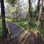 Blue Gum Reserve