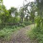 Blue Gum Reserve