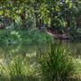 Bunya River Crossing (Albany Creek)