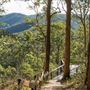Mt Glorious
