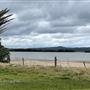 Cabbage Tree Point