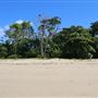 Kewarra Beach
