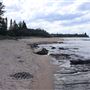 Shelly Beach