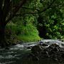 Currumbin Rock Pools