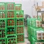 Mungalli Creek Bio-Dynamic Dairy