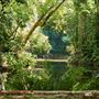 Lake Tinaroo - Danbulla National Park