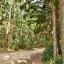 Lake Tinaroo - Danbulla National Park
