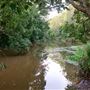 Peterson Creek Wildlife & Botanical Walking Track