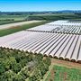 Tablelands Farming