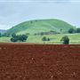 Tablelands Farming