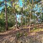 Hayes Property