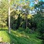 Hayes Property