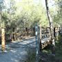 Epapah Creek - Karl's Pier track