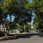 Chelmer Streetscape