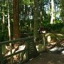 Mount Coot-tha Botanic Gardens - Australian Rainforest Track