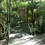 Cornubia Forest