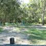 Cornubia Forest