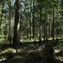 Daisy Hill Conservation Park