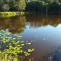 Hemmant Quarry Reserve