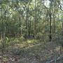 Hemmant Quarry Reserve