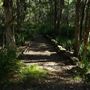 Venman Bushland