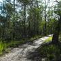 Venman Bushland