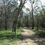 Boondall Wetlands