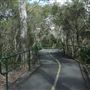 Boondall Wetlands