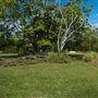 Curlew Park - Cabbage Tree Creek
