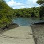 Curlew Park - Cabbage Tree Creek