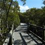 Nudgee Beach Wetlands Reserve