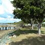 Tuckeroo Park & Dog beach