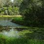 Enoggera Reservoir