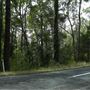 Jolly's Lookout