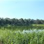 118 Green Camp Rd