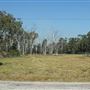 Tingalpa Creek